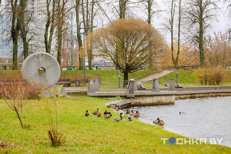 Сезон заморозков открыт: синоптик Рябов рассказал о погоде в конце сентября