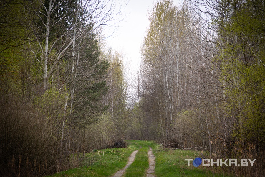 Место, где остановилось время: что происходит в зоне отчуждения 40 лет спустя