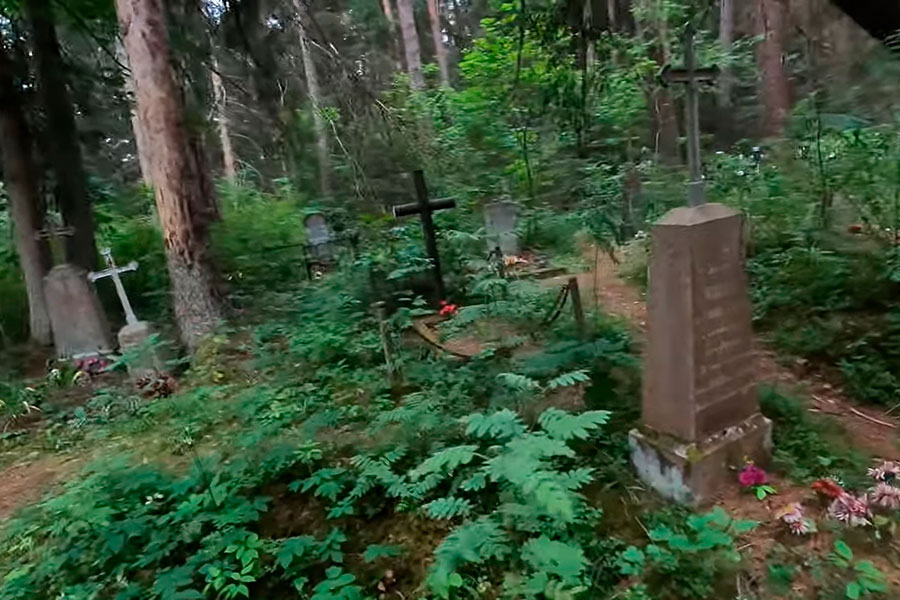 Белорусу дали крупный штраф в нацпарке