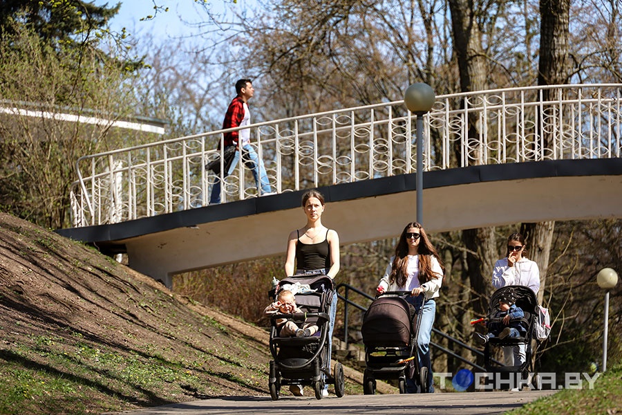 Как матерям не попасть в ловушку и получать пенсию целиком