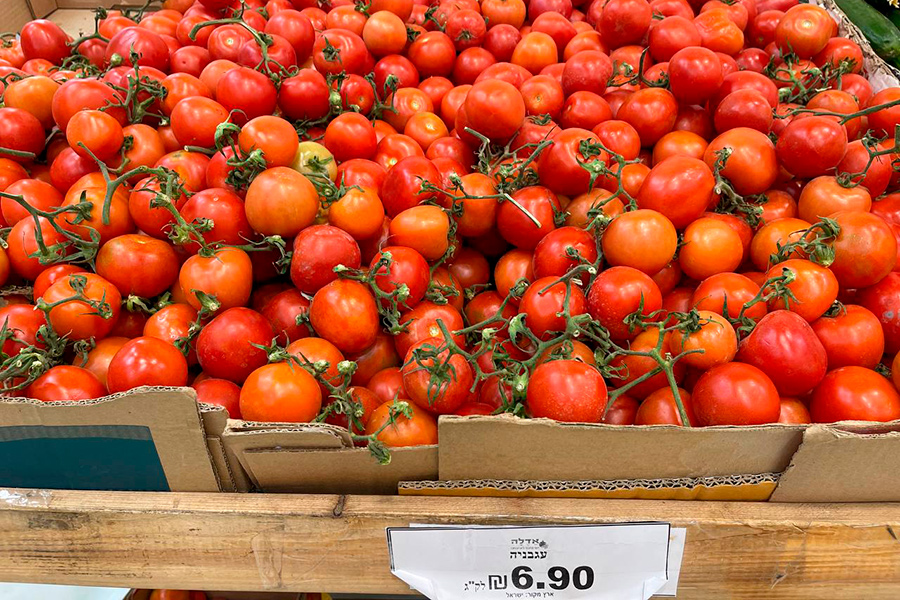 Пили кофе – и вдруг война: как белоруска пытается покинуть Израиль