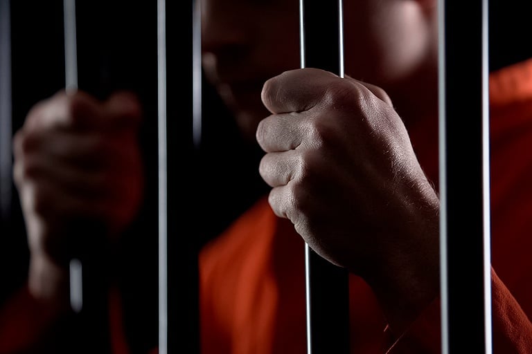 Лукашенко подписал закон об амнистии