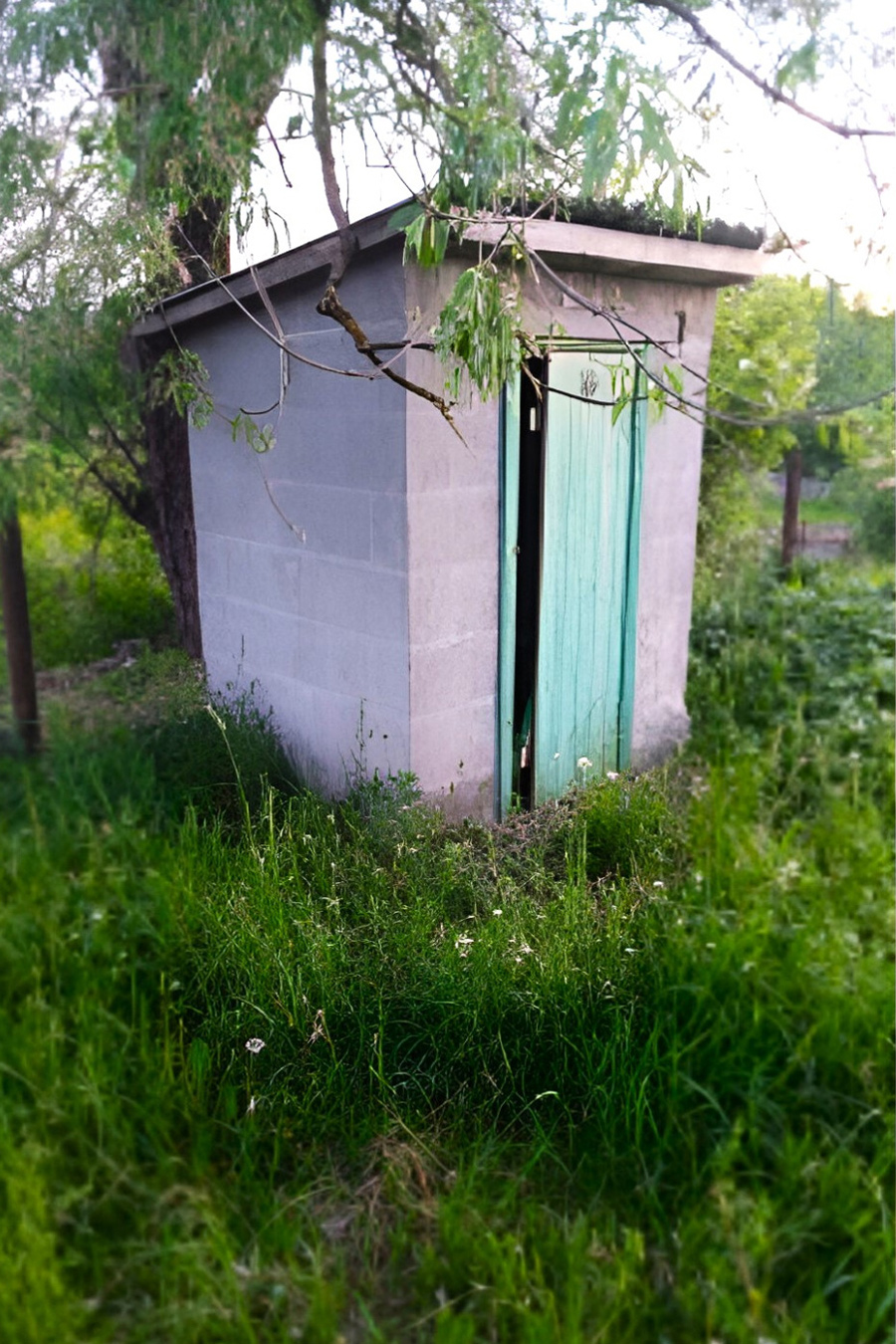 Остался сельский туалет: компания распродает имущество. Сумма удивляет