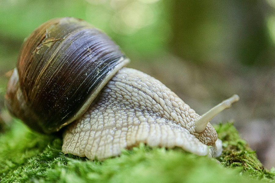 Что может сделать вас миллионером в Беларуси – ответ удивит