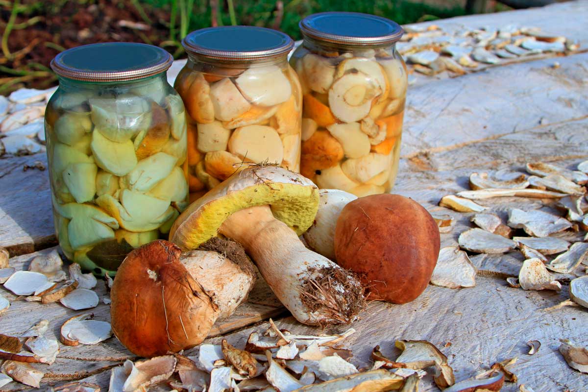 Маринад для грибов