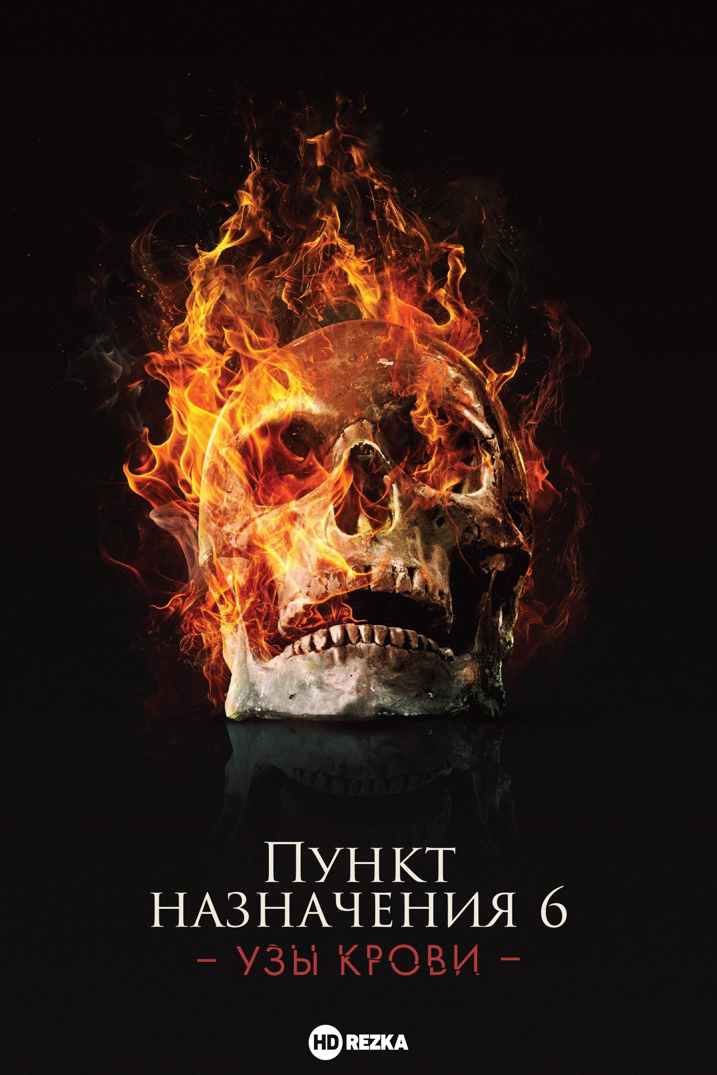 Пункт назначения: Узы крови