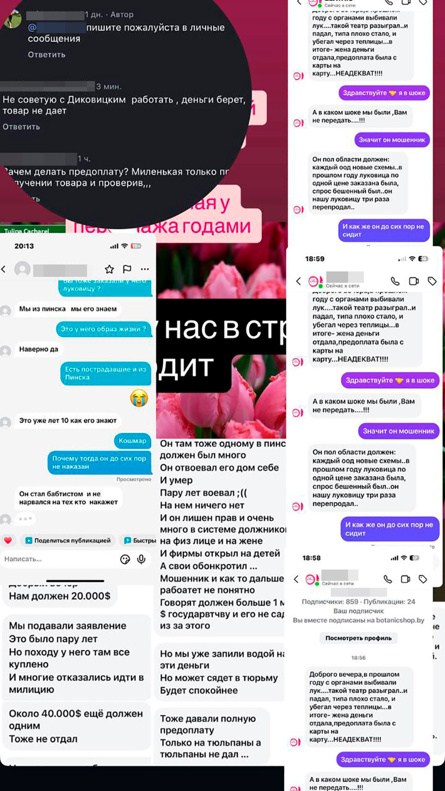 Горе луковое