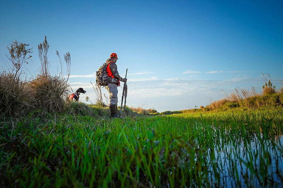 Что меняется в январе 2026 в Беларуси: новшества по зарплатам, пошлинам и действиям ГАИ