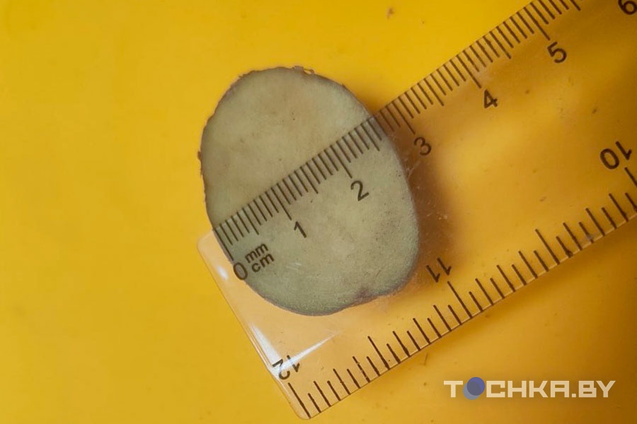 У картошки теперь свой стандарт: сходили в магазин, вооружившись линейкой