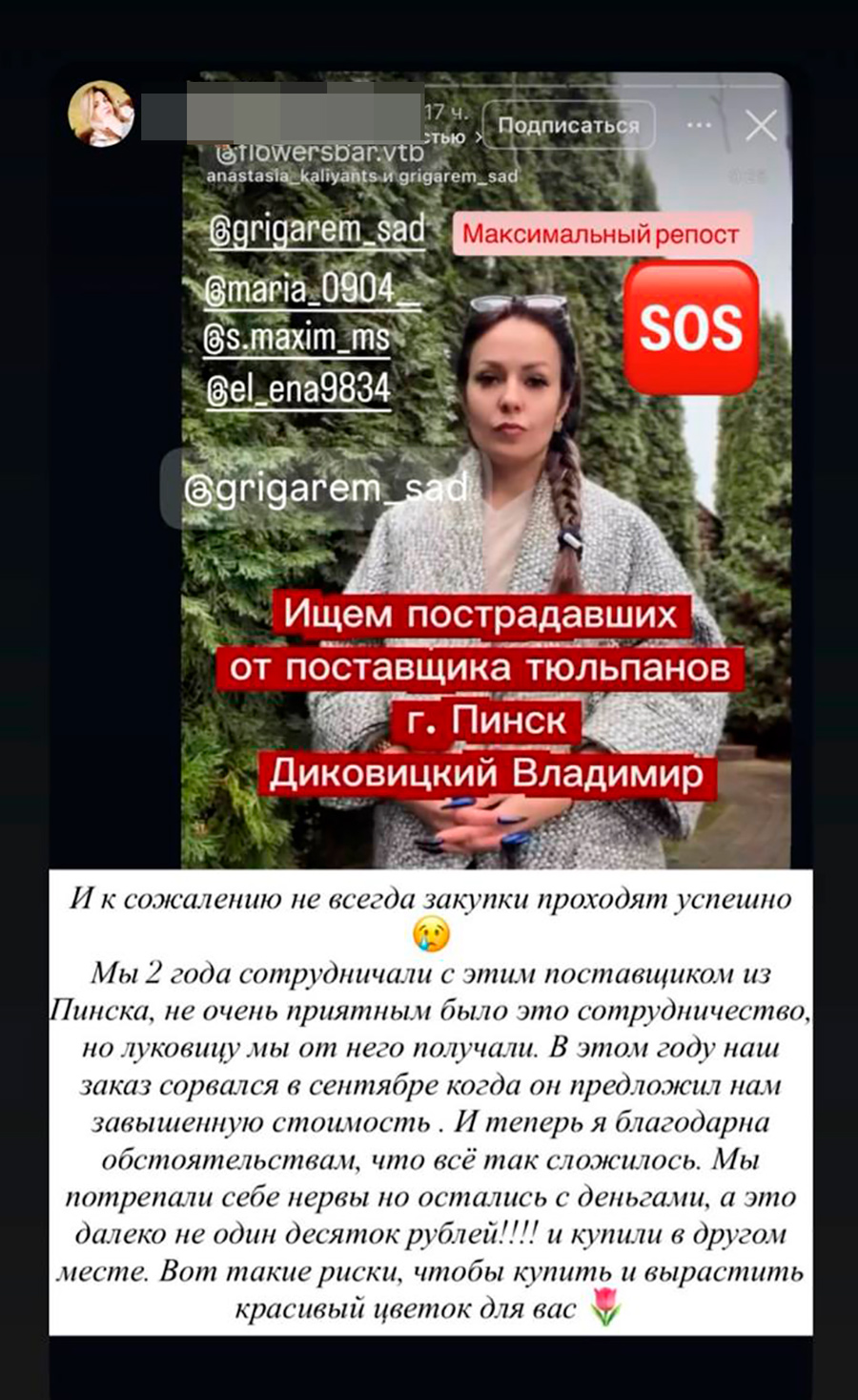 Горе луковое