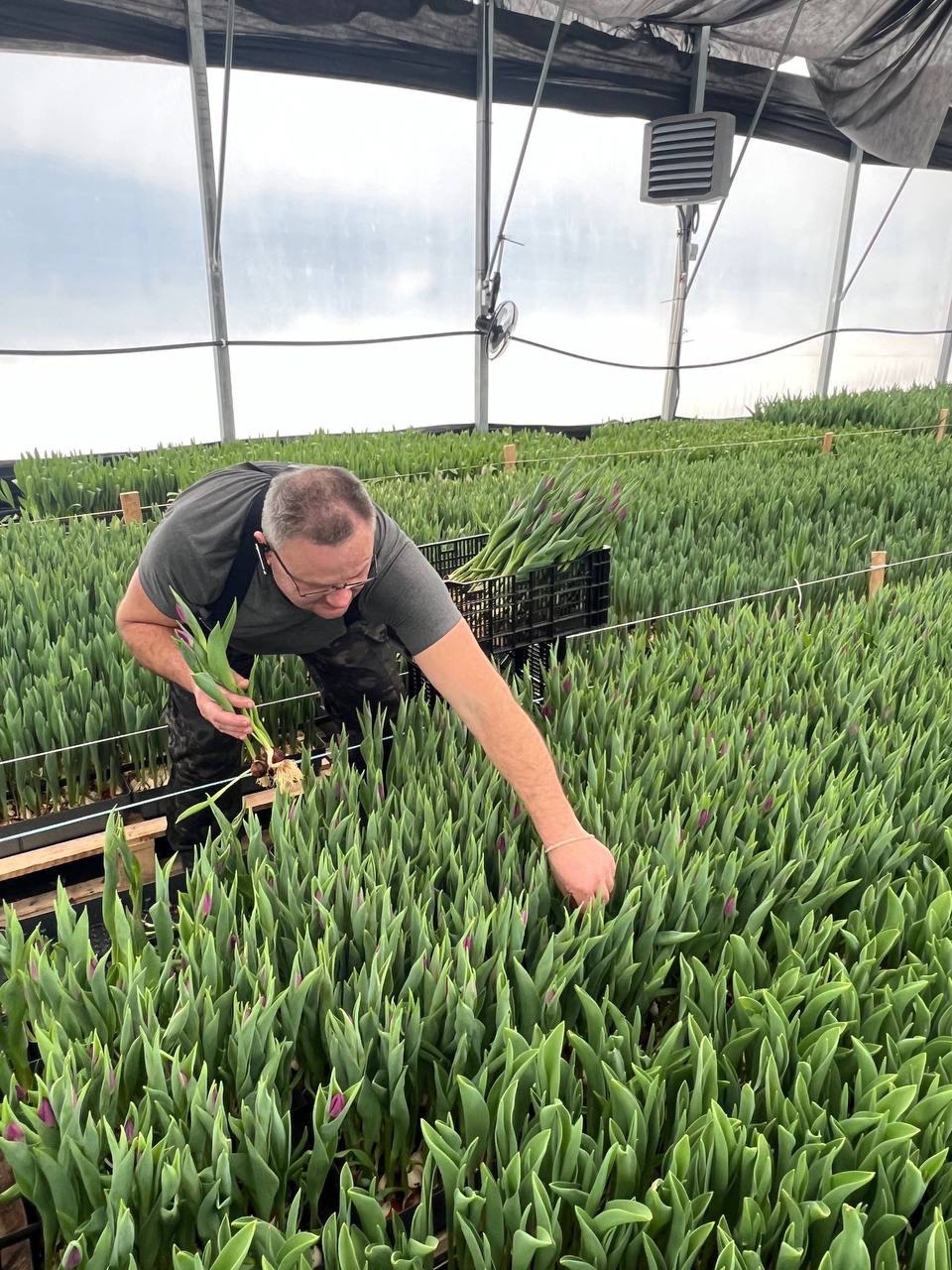 как предприниматель заново