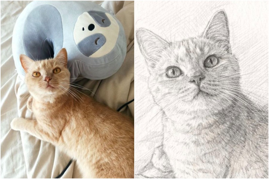 Нарисуют врага или котика, уберут снег: нашли милые подработки подростков