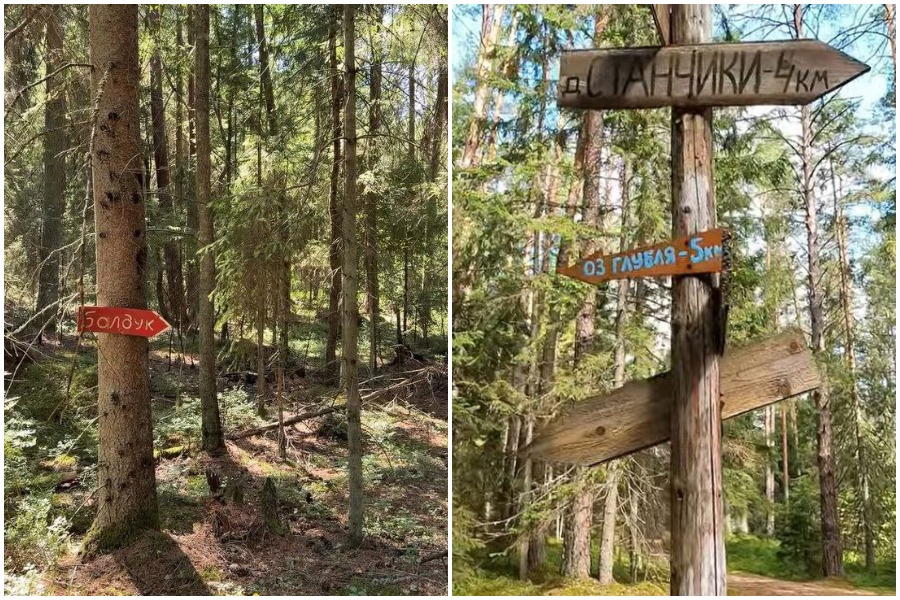 Белорусу дали крупный штраф в нацпарке