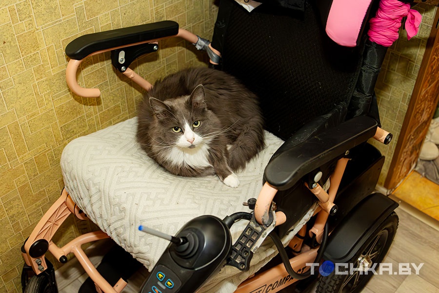 Жизнь на батарейке: как девушка на ИВЛ пытается найти работу