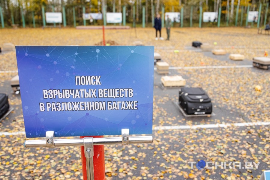 учения по поиску взрывчатки