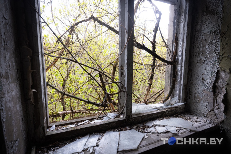 Место, где остановилось время: что происходит в зоне отчуждения 40 лет спустя