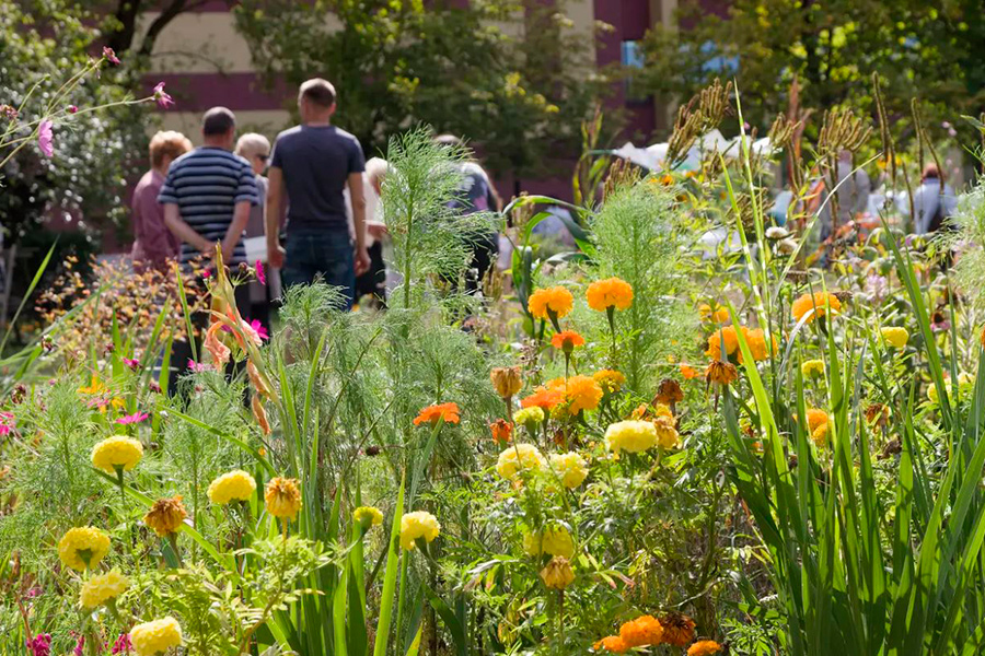 Природа – мое вдохновение: чем живет экосексуал из Бреста