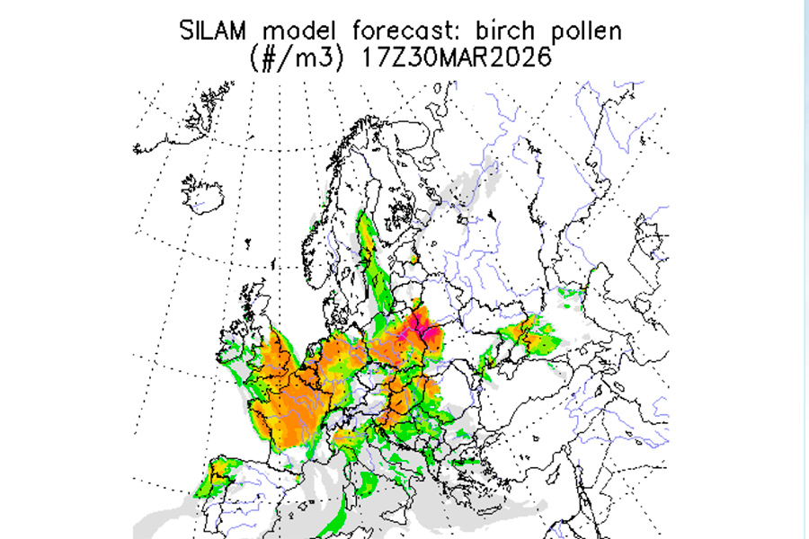 Аллергикам приготовиться: сразу два региона Беларуси окажутся под ударом. Побочки весны