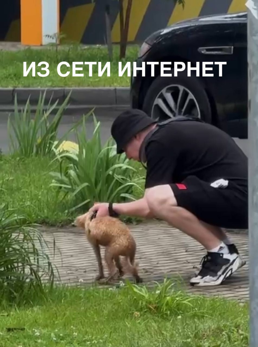 Белорус 