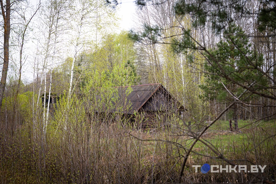 Место, где остановилось время: что происходит в зоне отчуждения 40 лет спустя