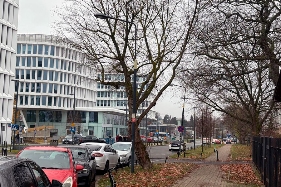 Опыт белорусской айтишницы