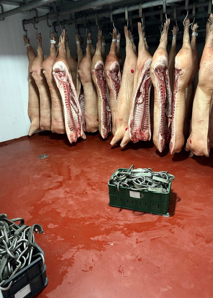 В Беларуси накрыли два нелегальных мясных завода – он работали пару лет
