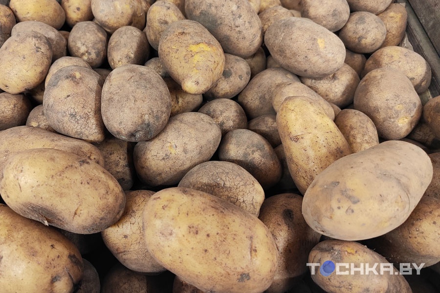 У картошки теперь свой стандарт: сходили в магазин, вооружившись линейкой