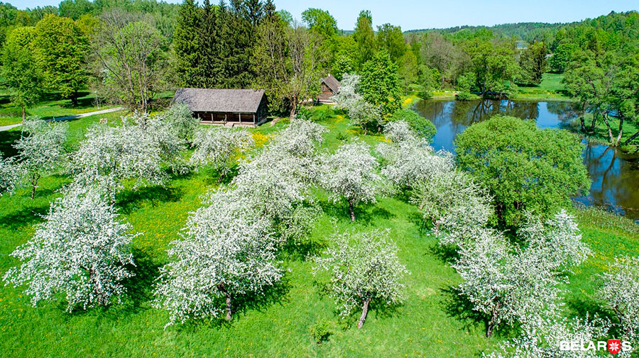 Топ-5 самых красивых деревень Беларуси: рассказываем и показываем