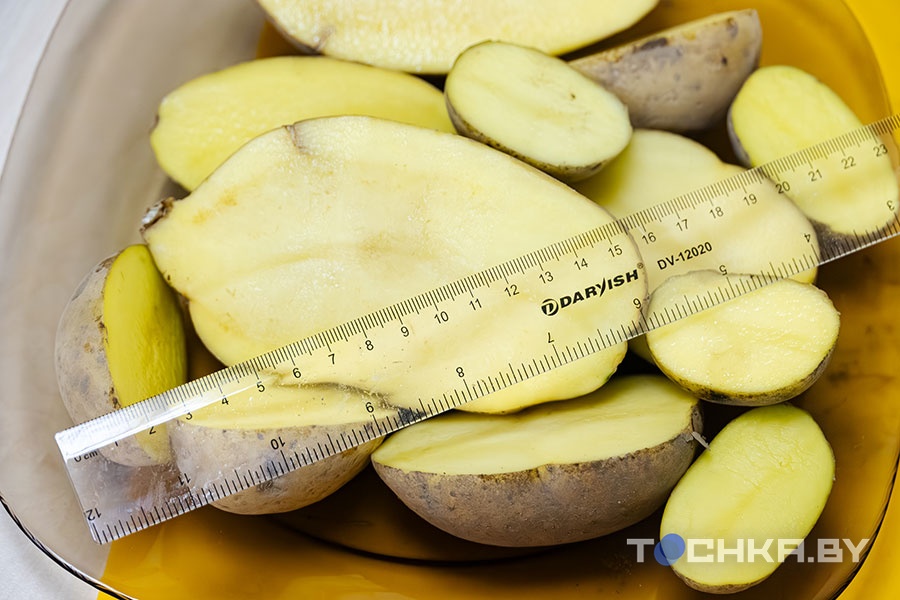 У картошки теперь свой стандарт: сходили в магазин, вооружившись линейкой