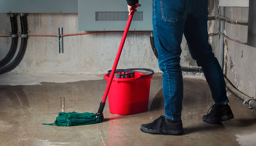 как понять жировку