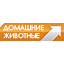 Домашние животные