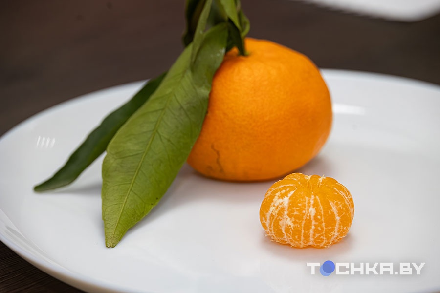 Сладкие, кислые, с косточками и без: устроили новогоднюю битву мандаринов