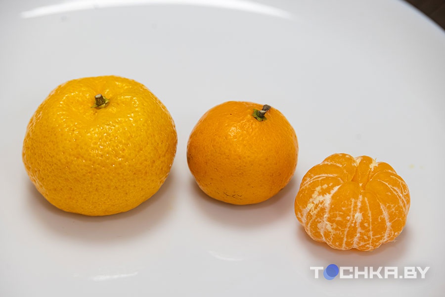 Сладкие, кислые, с косточками и без: устроили новогоднюю битву мандаринов