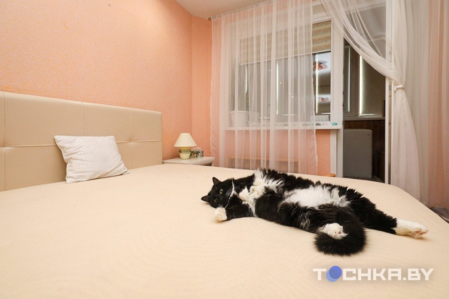 Как поменялись ставки налогов в 2026 году – на квартиры, авто, землю, азарт и собак