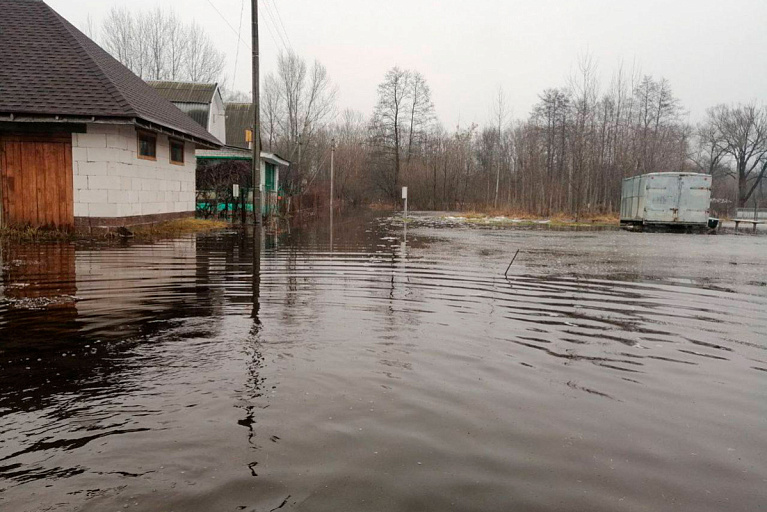 В Беларуси подтоплены 888 подворий – МЧС