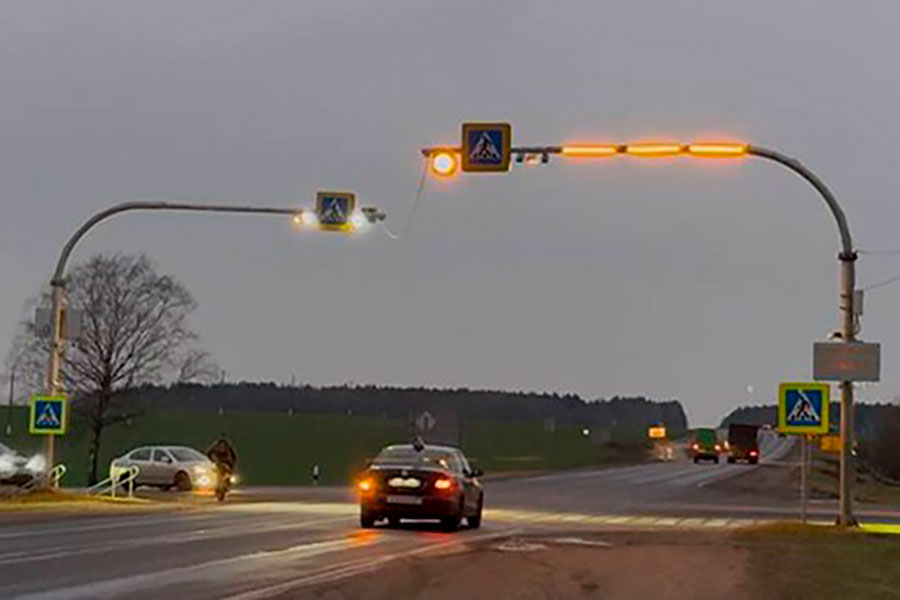 В Беларуси тестируют систему распознавания людей на зебре