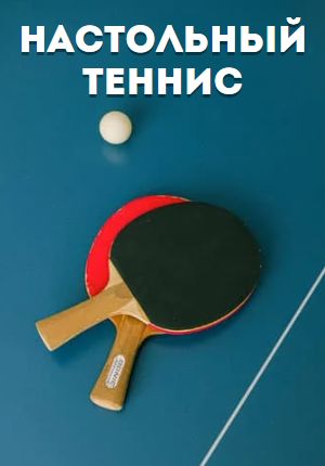 Настольный теннис