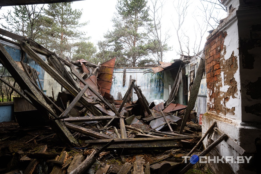 Место, где остановилось время: что происходит в зоне отчуждения 40 лет спустя