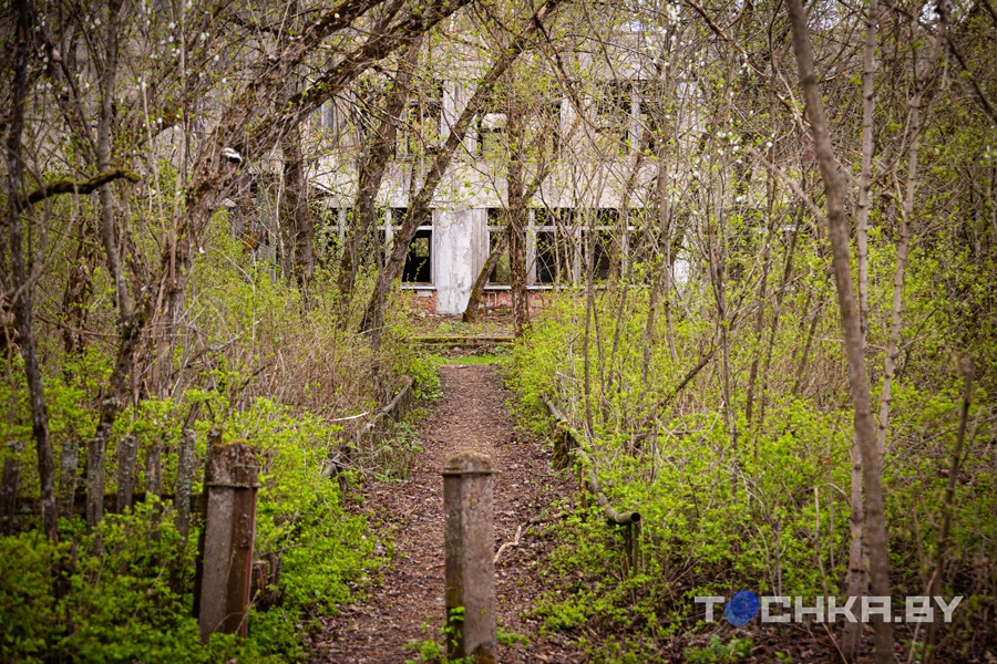 Место, где остановилось время: что происходит в зоне отчуждения 40 лет спустя