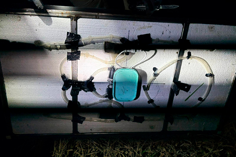 Плоты с контрабандой приплыли из Беларуси в Литву – сумма груза поражает