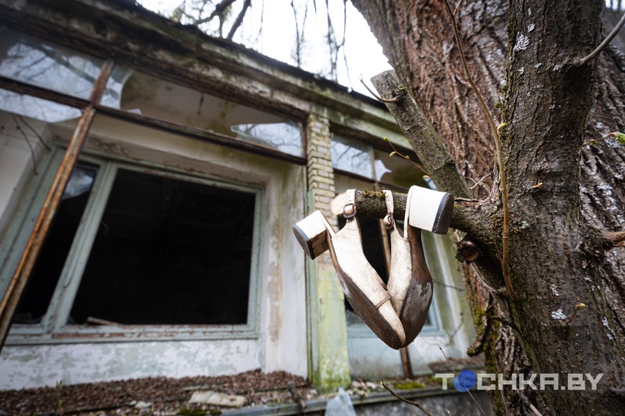 Место, где остановилось время: что происходит в зоне отчуждения 40 лет спустя