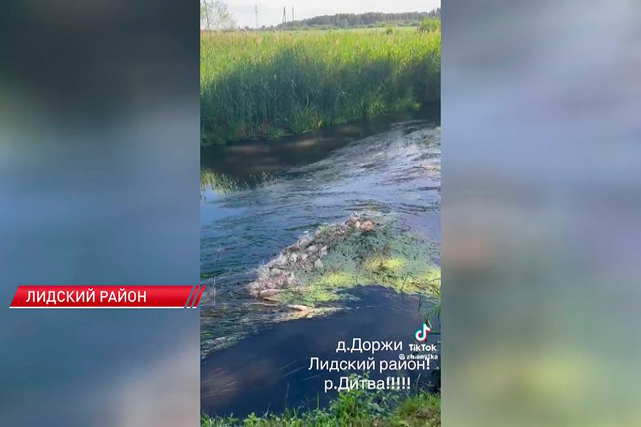 На реке в Гродненской