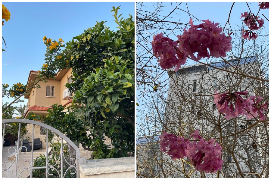 Пили кофе – и вдруг война: как белоруска пытается покинуть Израиль