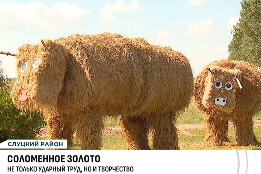 посмотрите