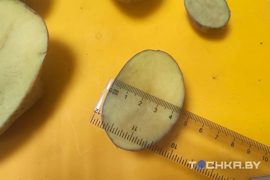 У картошки теперь свой стандарт: сходили в магазин, вооружившись линейкой