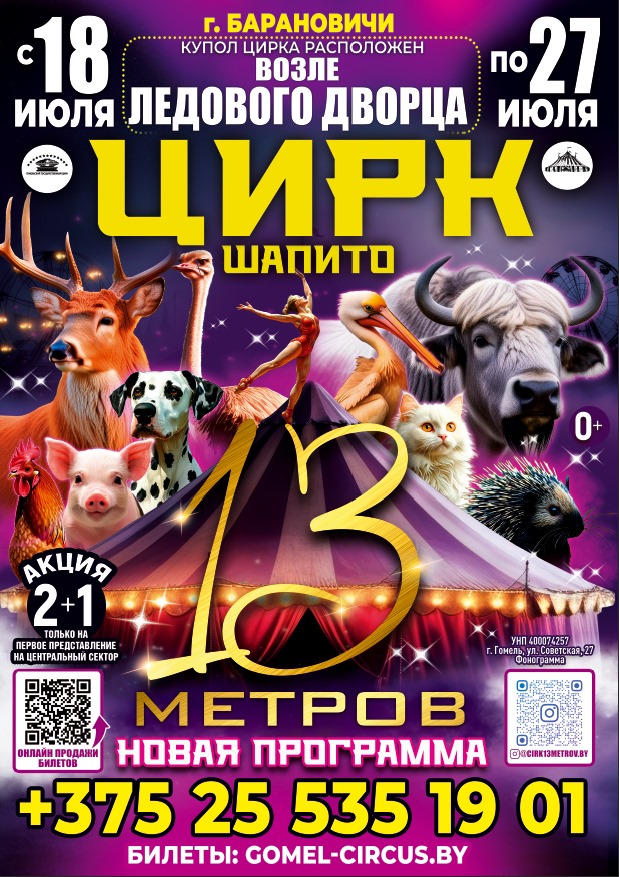 Шапито 13 метров г. Барановичи