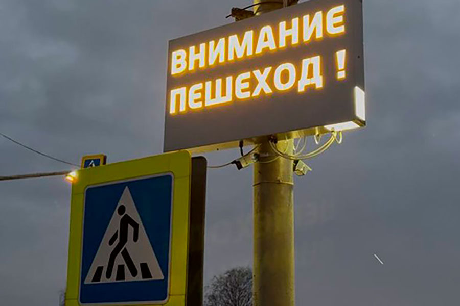 В Беларуси тестируют систему распознавания людей на зебре