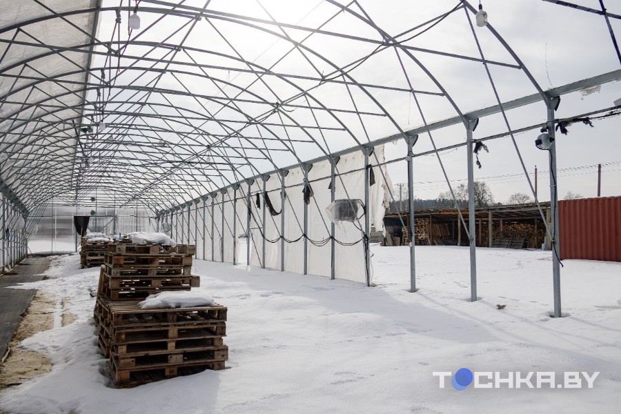 как предприниматель заново