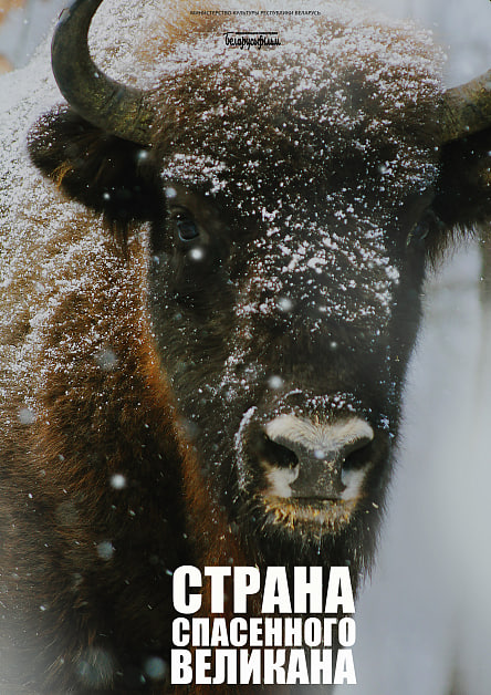 СТРАНА СПАСЕННОГО ВЕЛИКАНА