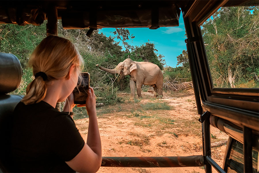 В Belavia рассказали, сколько стоят билеты из Минска на Шри-Ланку